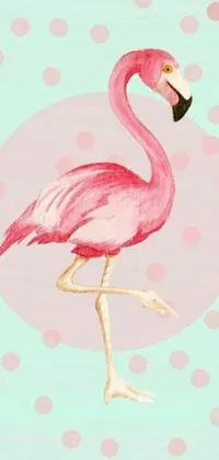 Bird Painting Pink Live Wallpaper