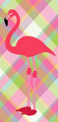 This phone live wallpaper features a charming pink flamingo standing on its two legs against a checkered backdrop