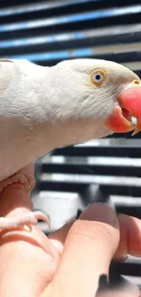 This dynamic phone live wallpaper features an up-close depiction of a unique bird held in a person's hand against a dark background