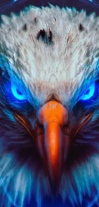 Bird Peafowl Eye Live Wallpaper