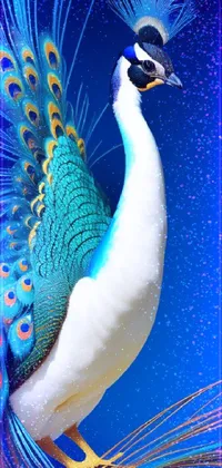 This phone live wallpaper features a stunning 3D-rendered image of a peacock with a blue sky background