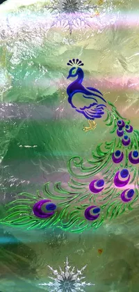 Bird Peafowl Water Live Wallpaper
