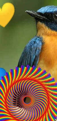 Bird Petal Electric Blue Live Wallpaper