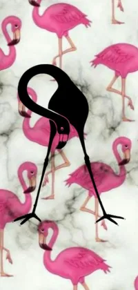 This stunning phone live wallpaper showcases a group of pink flamingos standing in a vibrant and colorful patterned background