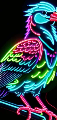 Bird Phasianidae Lighting Live Wallpaper