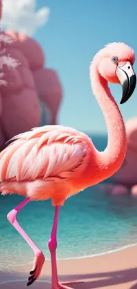 Bird Photograph Greater Flamingo Live Wallpaper