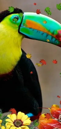 Bird Photograph Vertebrate Live Wallpaper