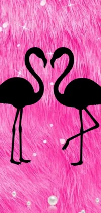 This stunning phone live wallpaper features two intricately designed flamingos standing side by side in a bold burst of hot pink and black