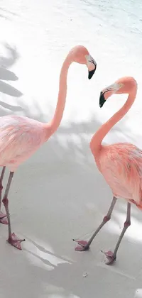 This lively phone wallpaper depicts two pink flamingos standing on a beach, captured through the lens of a high-quality photograph