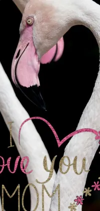 This live phone wallpaper features two flamingos forming a heart with their necks, in a portrait by Florianne Becker