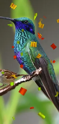 Bird Plant Beak Live Wallpaper