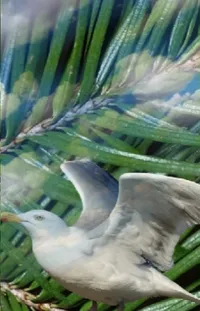 Bird Plant Green Live Wallpaper