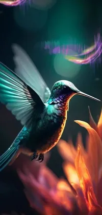 Bird Plant Hummingbird Live Wallpaper