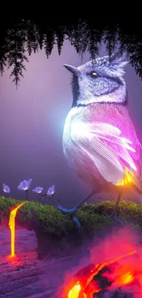 Bird Plant Light Live Wallpaper
