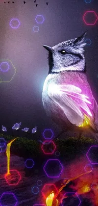Bird Plant Light Live Wallpaper
