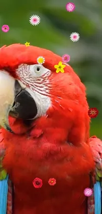 Bird Plant Macaw Live Wallpaper