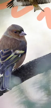Experience the beauty of nature with this stunning bird-themed live wallpaper for your phone