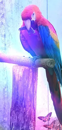 Bird Purple Azure Live Wallpaper