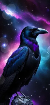raven in space  Live Wallpaper