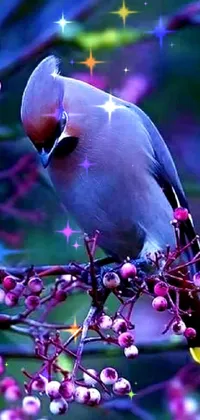 Bird Purple Light Live Wallpaper