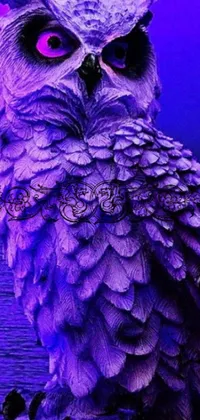 Bird Purple Organism Live Wallpaper