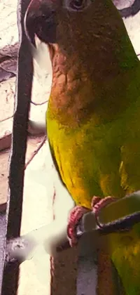 Bird Purple Parrot Live Wallpaper