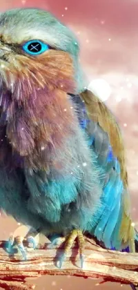 Bird Roller Organism Live Wallpaper