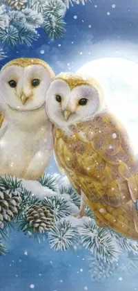 This exquisite live wallpaper depicts a beautiful painting of two owls perched on a tree branch amidst a moonlit sky