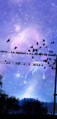 Bird Sky Atmosphere Live Wallpaper