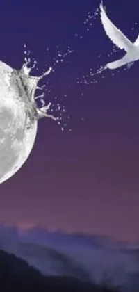 Looking for a stunning live wallpaper for your phone? Look no further than this white bird and moon design! Featuring a graceful bird soaring in front of a full moon, with a water splash background and surreal milk dripping effect, this wallpaper is perfect for nature lovers