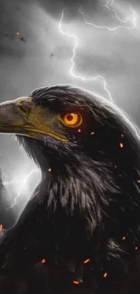 This phone live wallpaper depicts a powerful bird of prey in a close-up portrait, surrounded by storm clouds and lightning