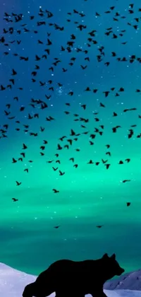 This live wallpaper boasts digital art by Anna Haifisch depicting a brown bear walking in the snow amidst a flock of birds and an aurora-lit sky with teal aesthetics
