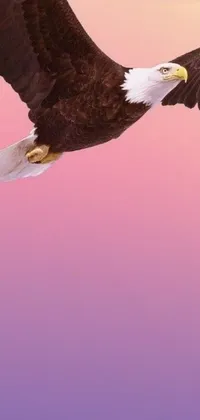 Elevate your phone's look with this immersive wallpaper featuring an eagle in mid-flight against a trendy pink gradient backdrop