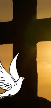 This stunning phone live wallpaper captures the beautiful image of a white bird in flight next to a cross, symbolizing the Christian faith's idea of trinity