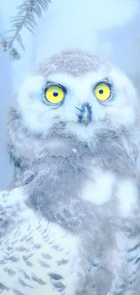 This live wallpaper captures the beauty of nature with a stunningly detailed owl staring back with bright yellow eyes