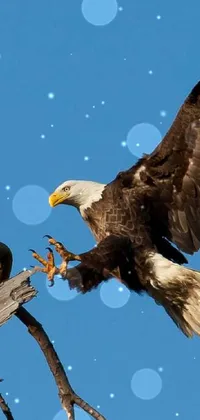 This striking live phone wallpaper features a bald eagle landing on a dead tree branch in an action pose