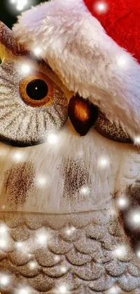 This phone live wallpaper features a stunning digital artwork of an owl wearing a santa hat by Cindy Wright