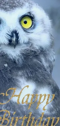 This live wallpaper features a stunning close-up shot of an owl with bright yellow eyes, perched on a snowy branch
