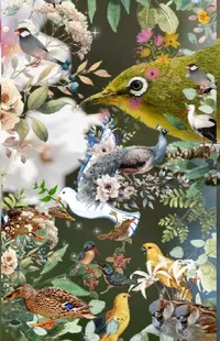 Bird Textile Organism Live Wallpaper