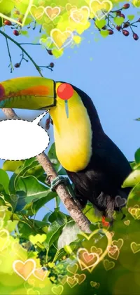 Looking for a beautiful and colorful live wallpaper for your phone? Check out this charming design, featuring a vibrant bird perched on a branch with banana leaves in the background