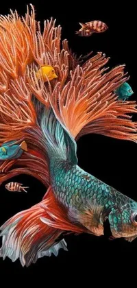 Bird Underwater Marine Biology Live Wallpaper