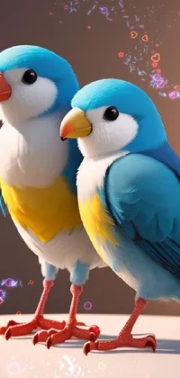 Bird Vertebrate Azure Live Wallpaper