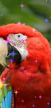 A stunning live wallpaper of a colorful parrot perched on a tree branch, glowing red and adorned with sparkling gems