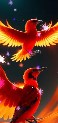 Bird Vertebrate Light Live Wallpaper