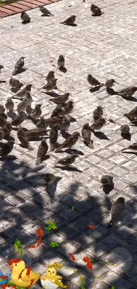 This lively phone live wallpaper features a flock of birds standing on a brick walkway