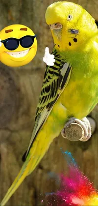 This live wallpaper features a charming yellow parakeet sitting on a rustic wooden post