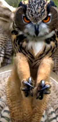 Transform your phone with this incredible live wallpaper featuring a stunningly realistic closeup of an owl