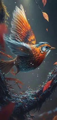 Bird Water Beak Live Wallpaper