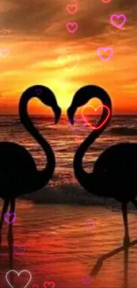 This stunning live wallpaper showcases two flamingos on a beach forming a heart shape