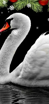 This phone live wallpaper features a stunning digital art of a white swan floating peacefully on a dark, black background